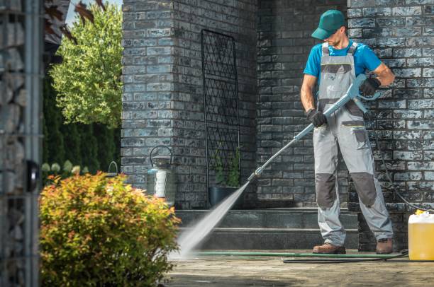 Best Roof Washing  in Sleepy Eye, MN