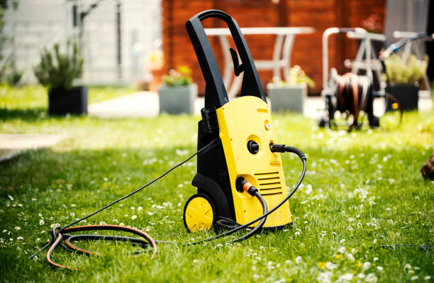 Best Pre-Holiday Cleaning  in Sleepy Eye, MN